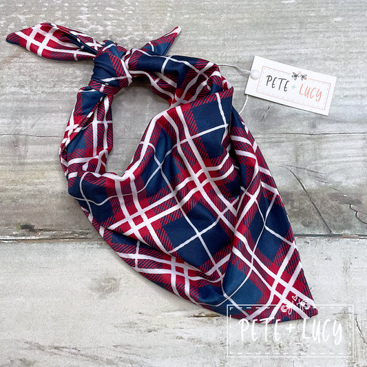 Winter Family Pet Bandana